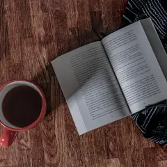 Tajemnice lotu: Jak ptaki podbiły niebo? Anatomia mistrzów