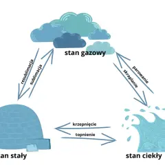 Woda: Dlaczego jej wysokie ciepło właściwe ratuje planetę?
