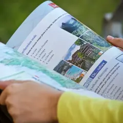 Dlaczego krew żylna jest ciemniejsza? Tajemnica tlenu i koloru