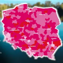 Twarda woda? Zbadaj ją testerem kropelkowym i oszczędzaj!