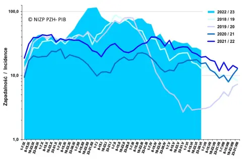 Jak grypa hiszpanka wycięła pokolenie? Demografia Europy 1918-1920